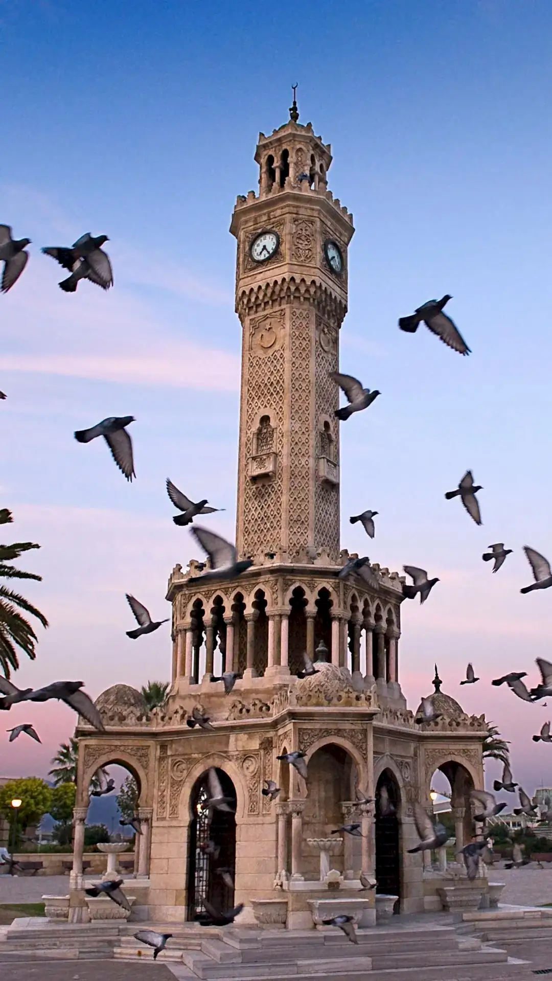 Böcek İlaçlama ve Uygulama Bölgelerimiz