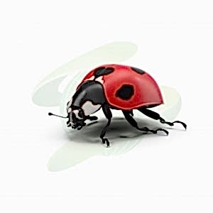 Böceklerin Ortak Özellikleri