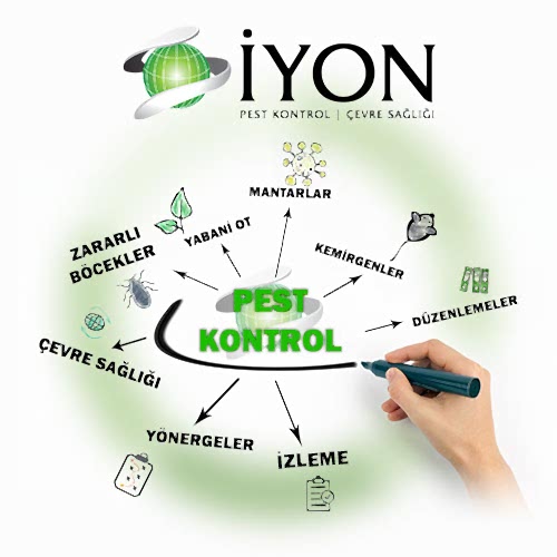 İzmir İYON Böcek İlaçlama ve Çevre Sağlığı
